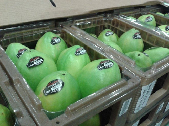 環(huán)保pet包裝 環(huán)保pet包裝